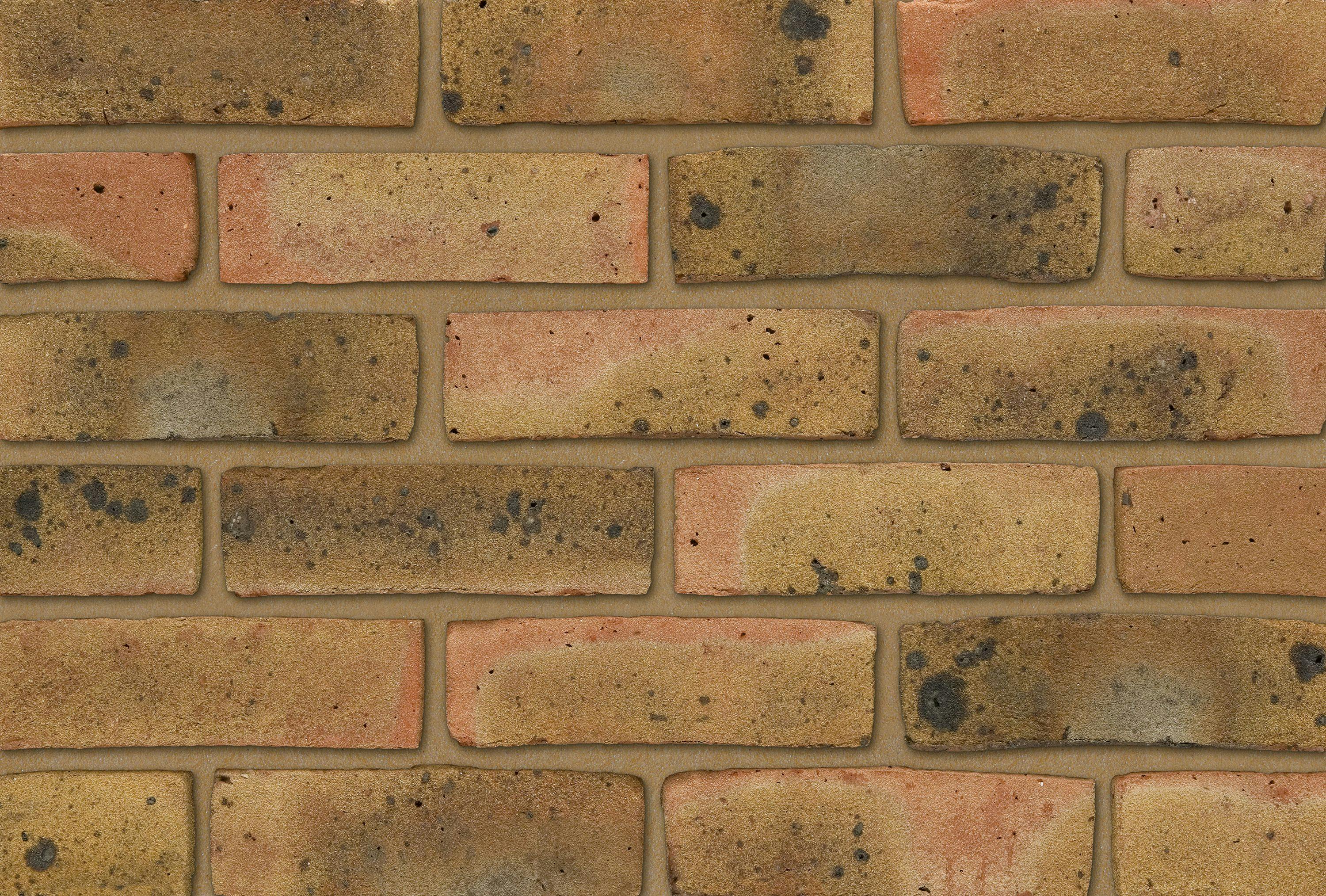 Ibstock Brick Coleridge Yellow Multi 